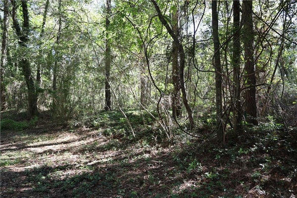POPLAR STREET, COVINGTON, LA 70433 - Image c7cc2b1b0ca35ee9c0fb557fdfcbb8ce/1112107687