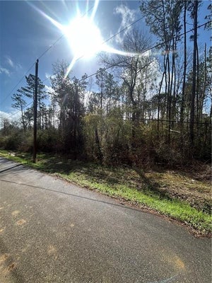 TBD CHAPMEN RD ROAD, LORANGER, LA 70446 - Image d1f6f09da1925cc4ae30c2233a33f265/1603128697