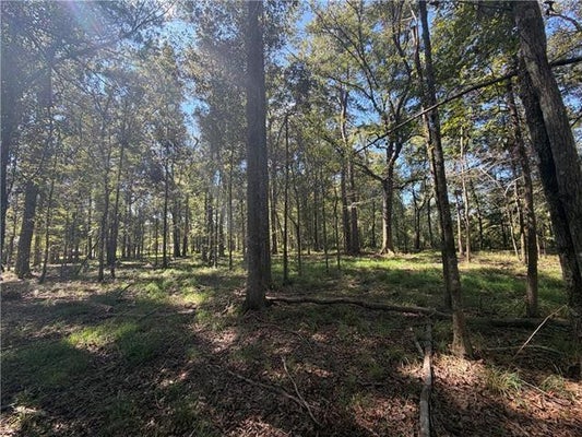TUGER LANE, HAMMOND, LA 70401 - Image eccb71c6f1bca4e9117c88b46e91627c/667325293