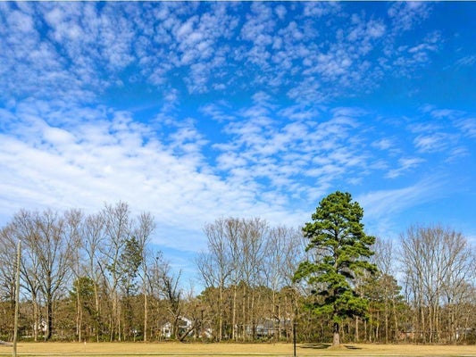 44068 MARY SINGLETARY RD, SAINT AMANT, LA 70774 - Image fbc73d4e6e0030e3bfed8bc1af974fb0/416594926