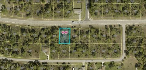A home in LEHIGH ACRES