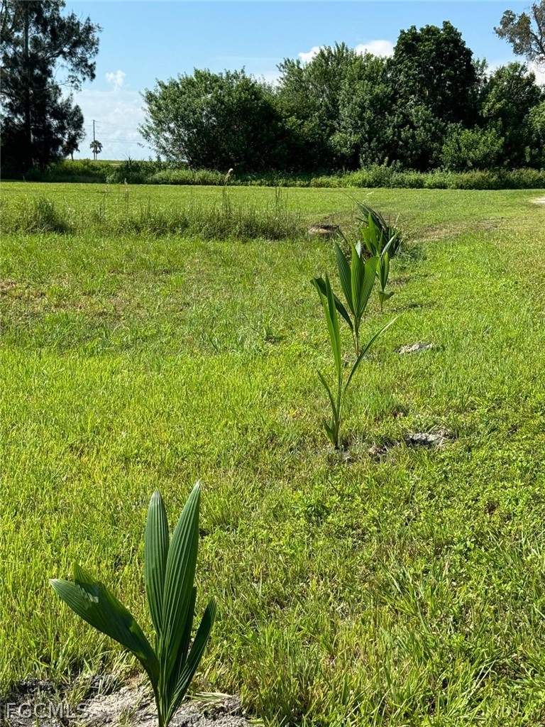 936 Meyerchick Drive SW