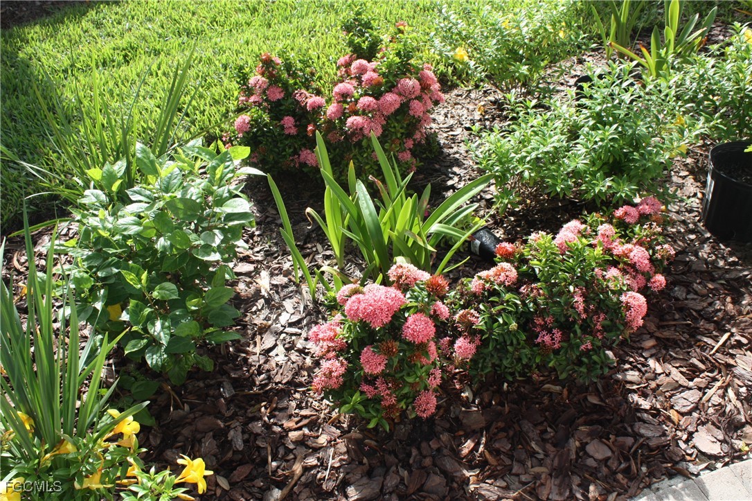 4482 Waterscape Lane