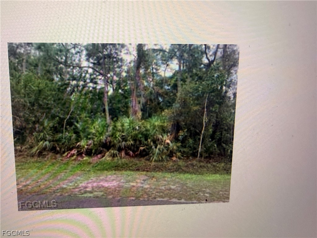 3585 Gasparilla Street