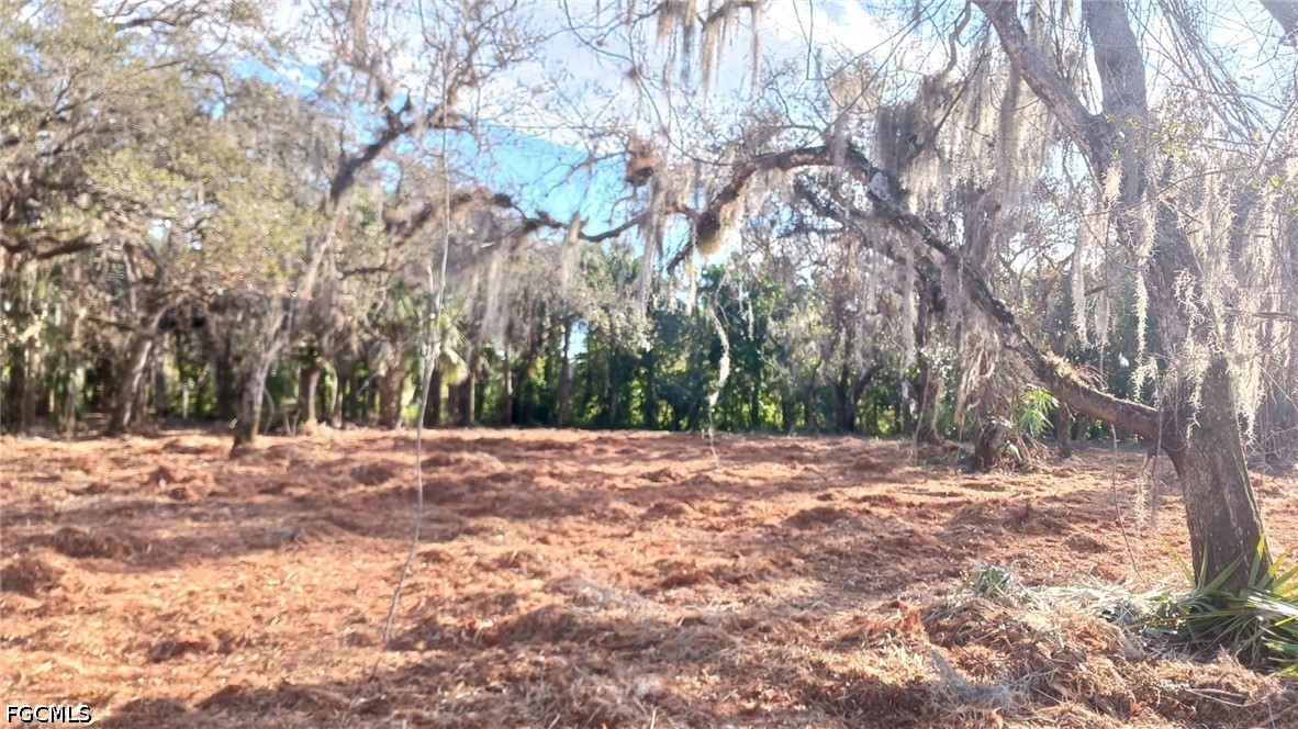 16470 B1 Daughtreys Creek Road