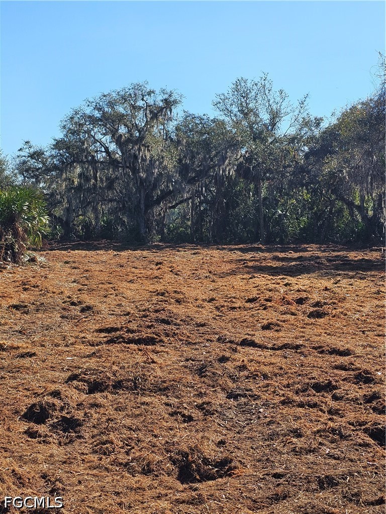 16470 B1 Daughtreys Creek Road