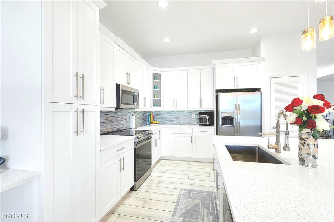 2675 Blue Cypress Lake Court