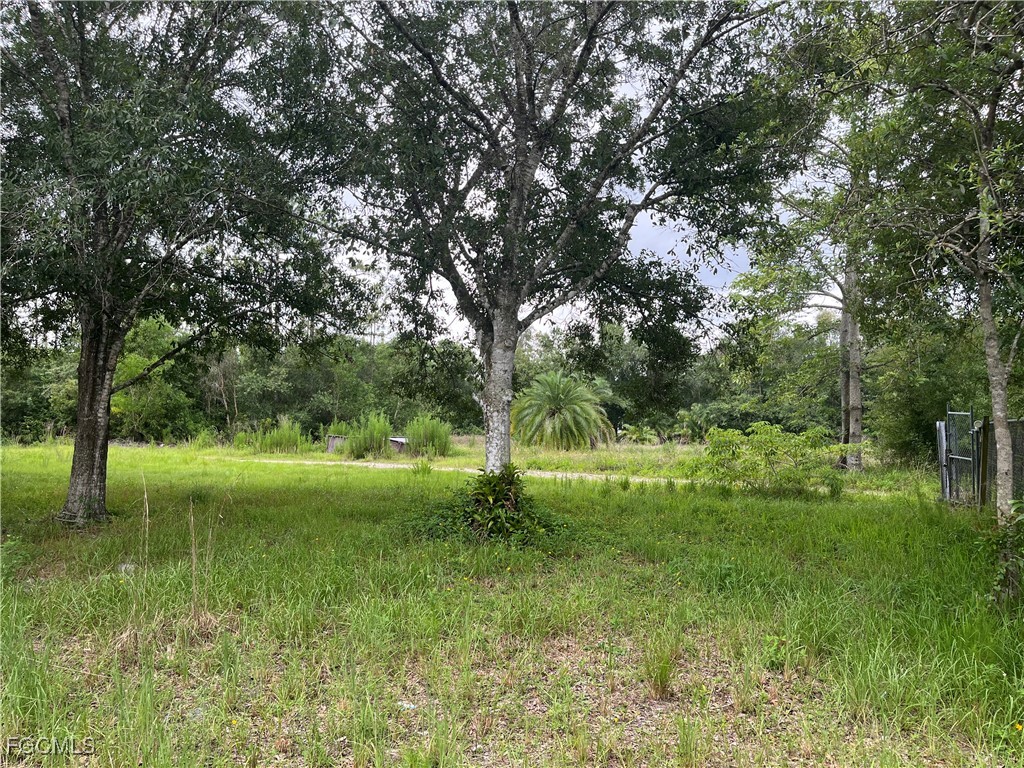 6851 Carmelita Drive