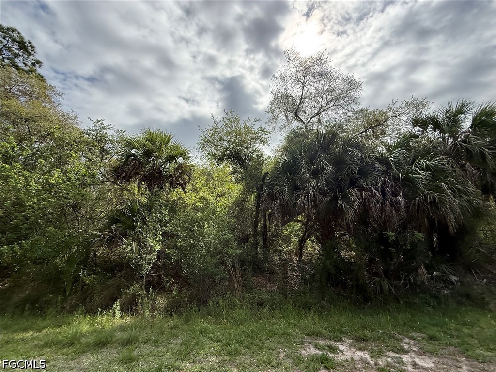 775 N Zambria Street