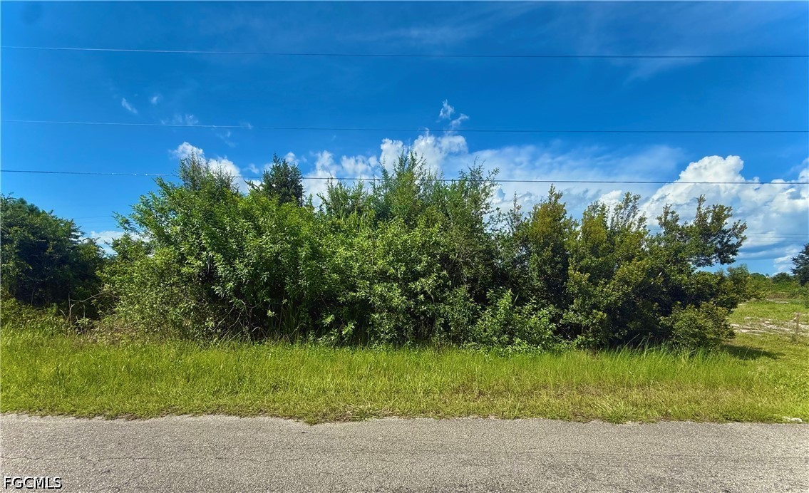 Photo 1 of 4 — 1229 Belgrave Street, Fort Myers, FL 33913