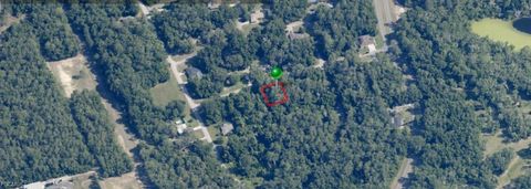 1030 W Maximilian Place Citrus Springs FL 34434