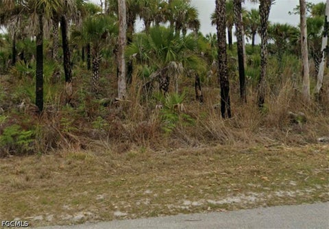 Photo of 2695 22nd Avenue SE, Naples, FL 34117 (MLS # 2026036701)