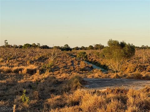 7080 6th Road Labelle FL 33935