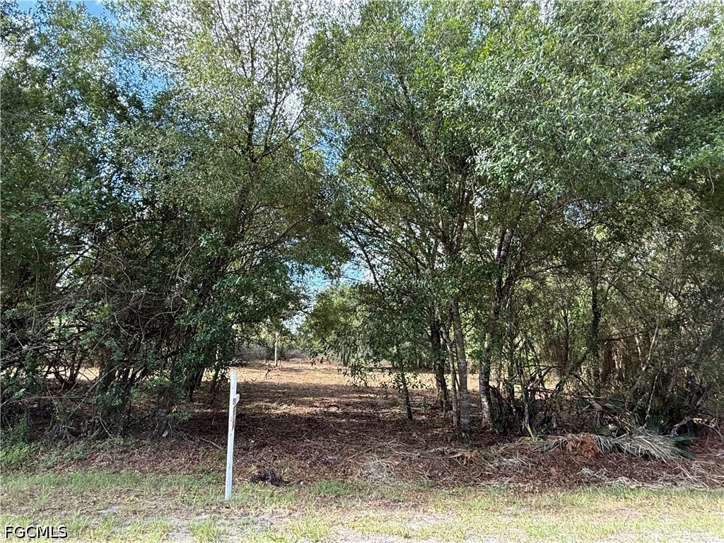 858 Woodland Boulevard
