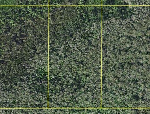 Sable Palm Road Naples FL 34114