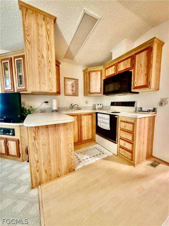 565 Cattleya Refuge 565