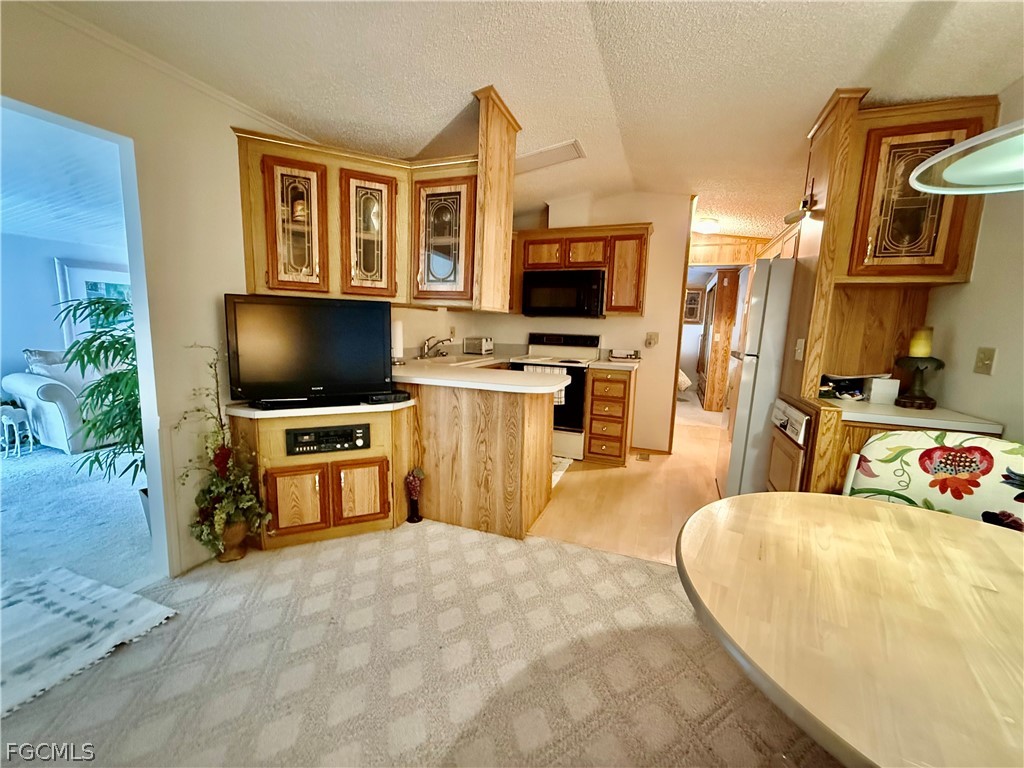 565 Cattleya Refuge 565