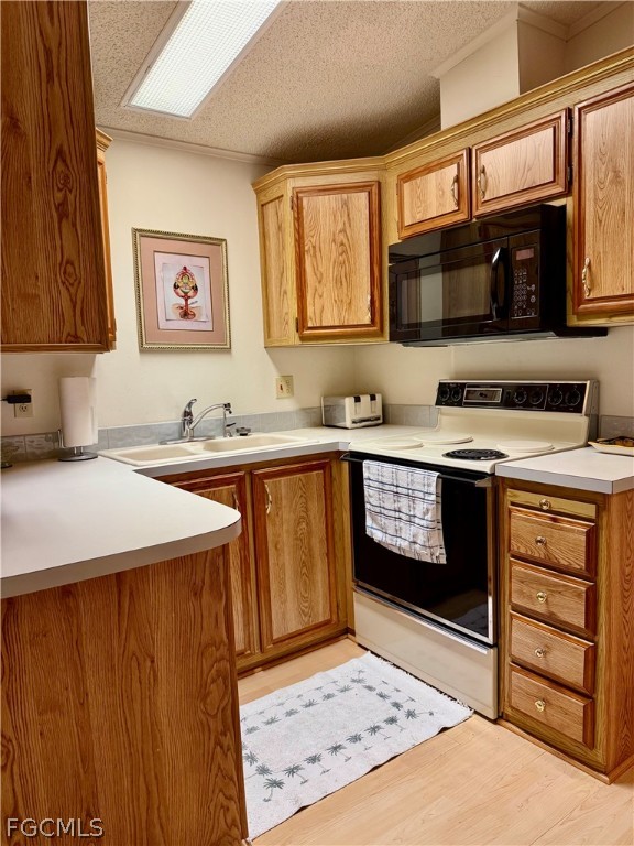 565 Cattleya Refuge 565