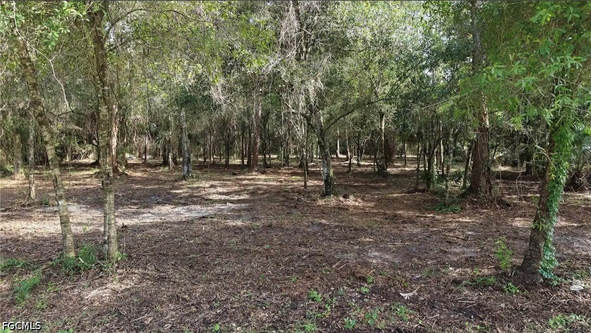 824 Woodland Boulevard
