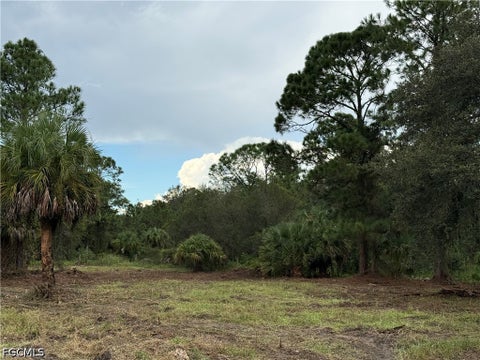 Tiny photo for 380 S Lindero Street, Clewiston, FL 33440 (MLS # 2026039564)