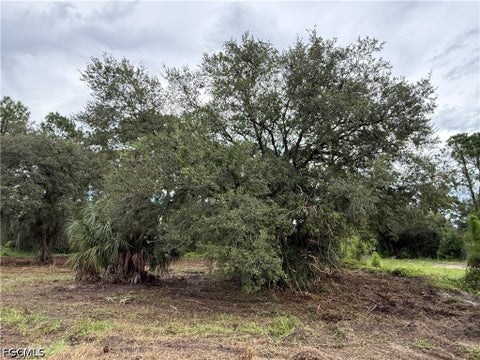 Tiny photo for 380 S Lindero Street, Clewiston, FL 33440 (MLS # 2026039564)