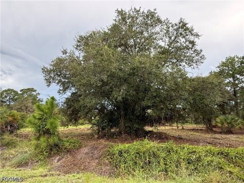 Photo of 380 S Lindero Street, Clewiston, FL 33440 (MLS # 2026039564)
