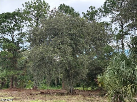 Tiny photo for 380 S Lindero Street, Clewiston, FL 33440 (MLS # 2026039564)