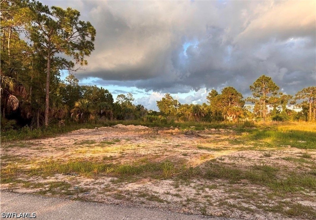 Photo 1 of 1 — 2914 Elaine Avenue N, Lehigh Acres, FL 33971