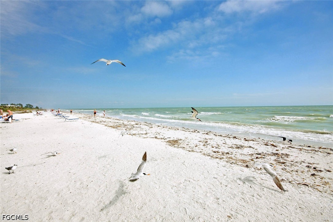 1246 Fulgur Street 202