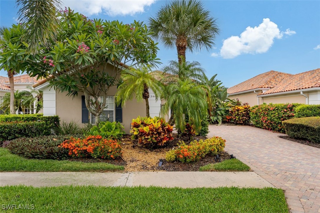 3464 Donoso Court