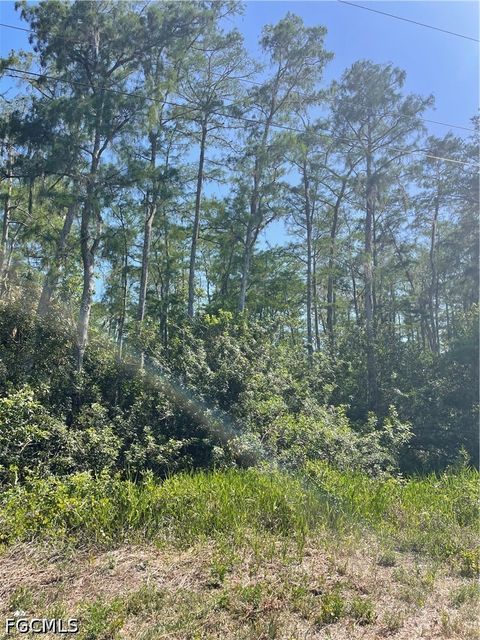 Tiny photo for 666 Knapp Street, Lehigh Acres, FL 33974 (MLS # 2026018748)