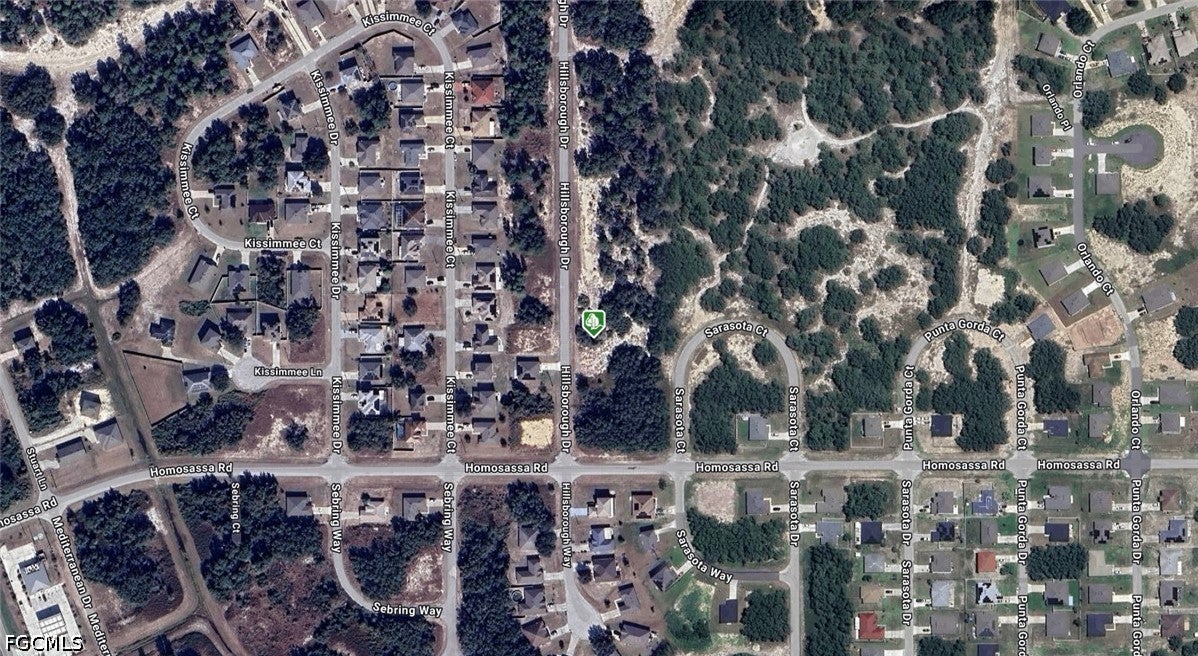 1407 Hillsborough Drive