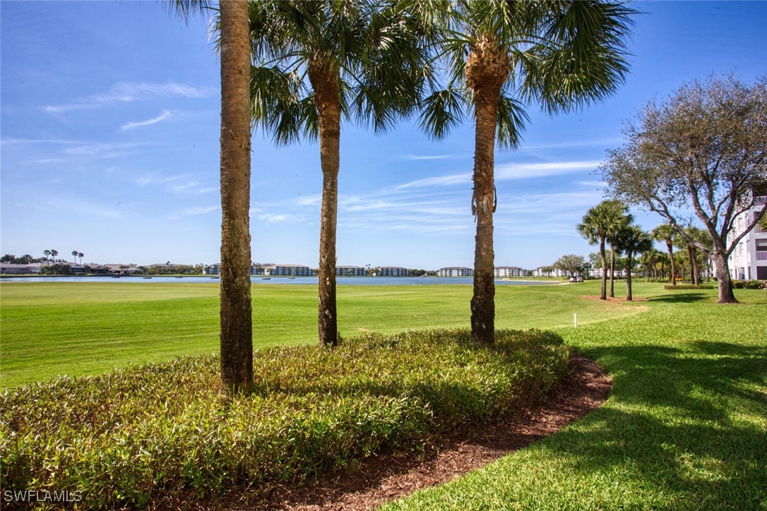 8106 Queen Palm Lane 115