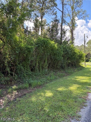 2010 JOHNS AVE, ALVA, FL 33920 - Image 283f67e305346bb4c69a3bcf528bc83e/3716473303