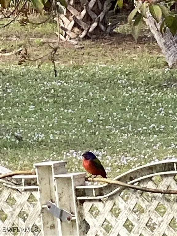 Naples, Florida 34117, United States, 3 Bedrooms Bedrooms, ,2 BathroomsBathrooms,Residential,Active,230263