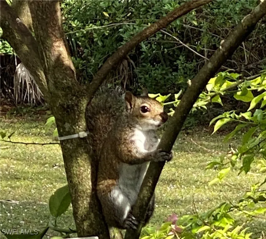 Naples, Florida 34117, United States, 3 Bedrooms Bedrooms, ,2 BathroomsBathrooms,Residential,Active,230263