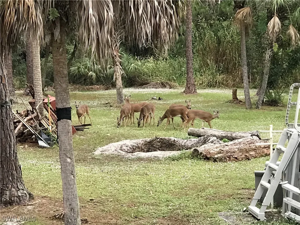 Naples, Florida 34117, United States, 3 Bedrooms Bedrooms, ,2 BathroomsBathrooms,Residential,Active,230263