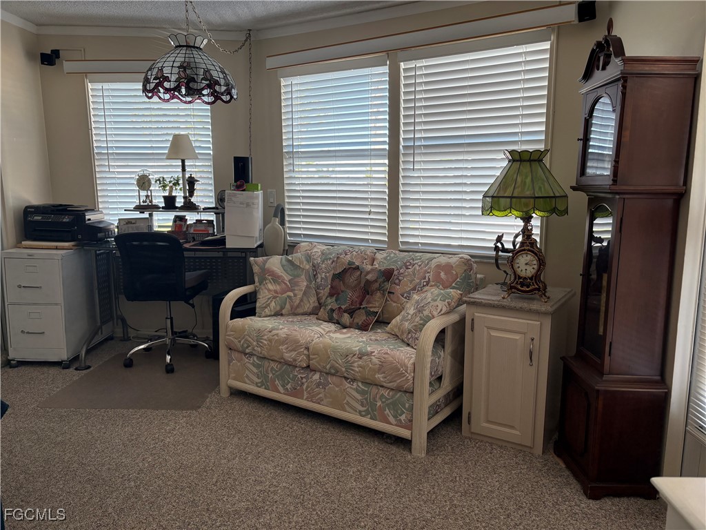 11207 Sunglow Lane Y2