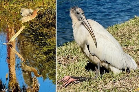 Tiny photo for 14593 Aeries Way Drive, Fort Myers, FL 33912 (MLS # 2026017262)