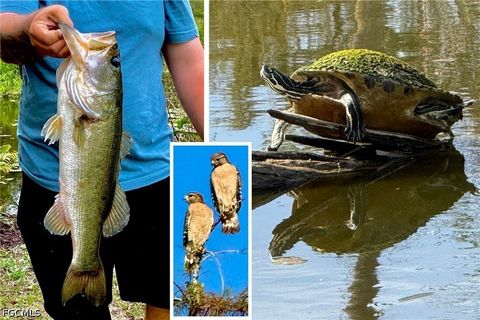 Tiny photo for 14593 Aeries Way Drive, Fort Myers, FL 33912 (MLS # 2026017262)