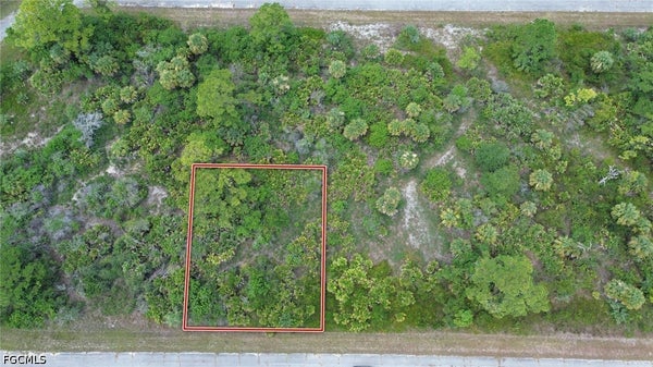 816 MORNING LN, LABELLE, FL 33935 - Image 33a93eeade829ab2c8aad7e08903d90d/2626186172