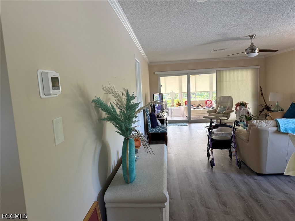 38 Glades Boulevard 1