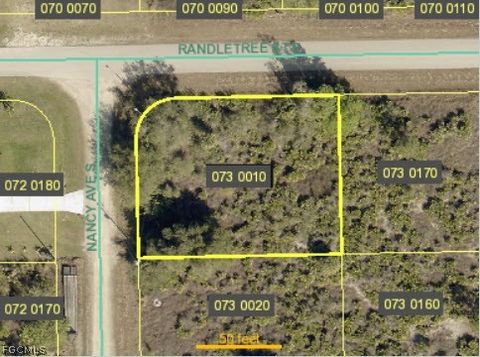 231 Nancy Avenue S Lehigh Acres FL 33974