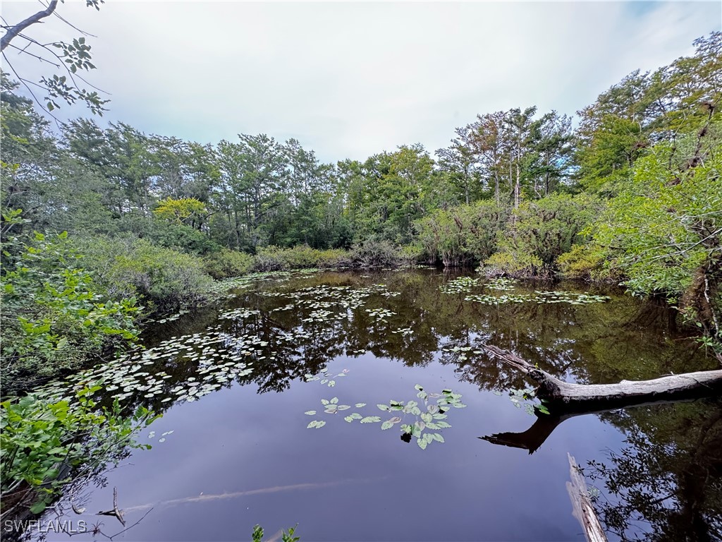 10581 Ben C Pratt/6 Mile Cypress Parkway