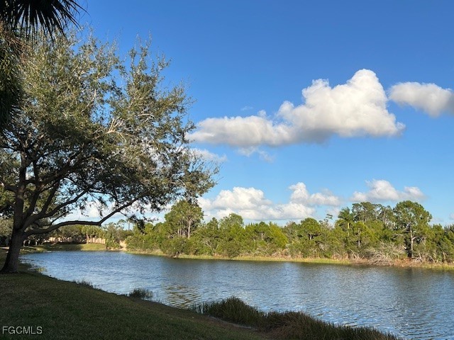 10115 Colonial Country Club Boulevard 2103