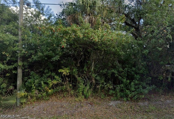 155 S RIVERVIEW ST, LABELLE, FL 33935 - Image 3eab0e8916d31a1da4b07be86fca4b18/2040068098
