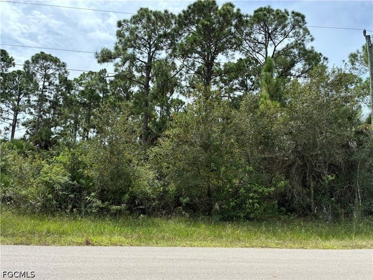 3417 49TH ST W, LEHIGH ACRES, FL 33971 - Image 3fa4e49e3202ef735b6137a172076023/4031789404