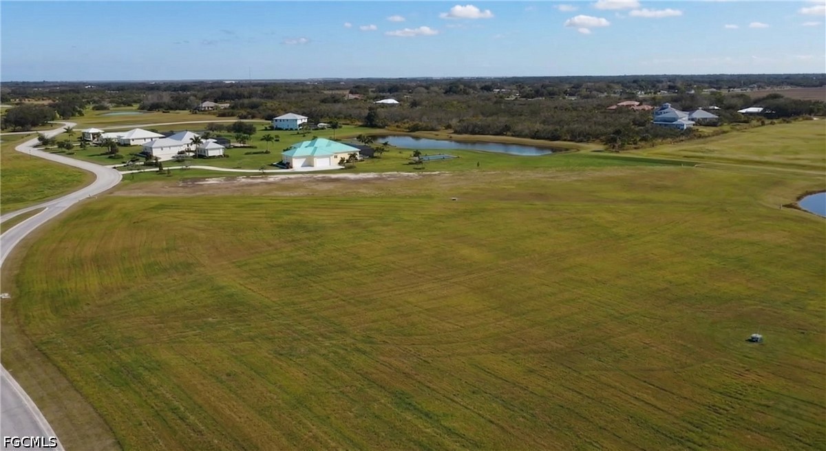 22820 Yellow Button Lane