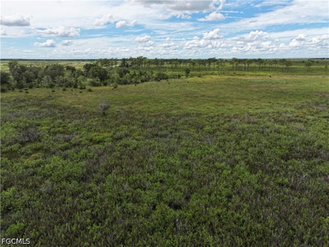Tiny photo for 0 County Line Road E, Fort Meade, FL 33841 (MLS # 2026029995)