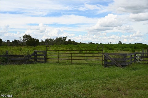 Tiny photo for 0 County Line Road E, Fort Meade, FL 33841 (MLS # 2026029995)
